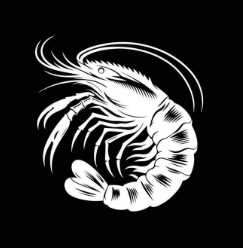 shrimp